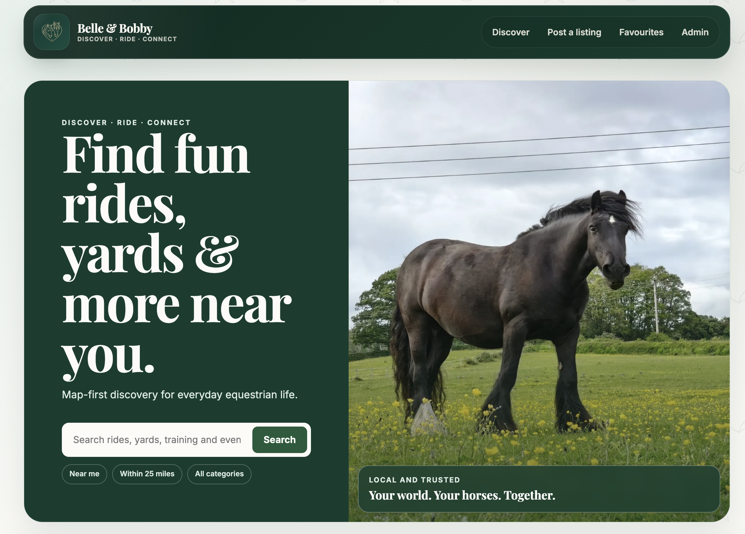 Belle and Bobby equestrian discovery website alongside a horse in a field